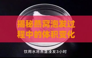 揭秘燕窝泡发过程中的体积变化：为何燕窝越泡越少及其原因解析