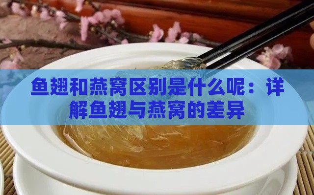 鱼翅和燕窝区别是什么呢：详解鱼翅与燕窝的差异