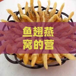 鱼翅燕窝的营养价值、挑选技巧与食用禁忌：全方位指南