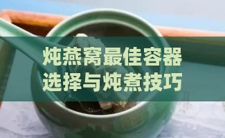 炖燕窝更佳容器选择与炖煮技巧详解