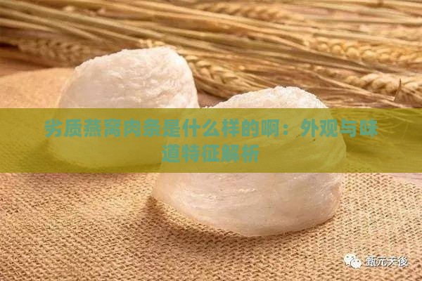 劣质燕窝肉条是什么样的啊：外观与味道特征解析