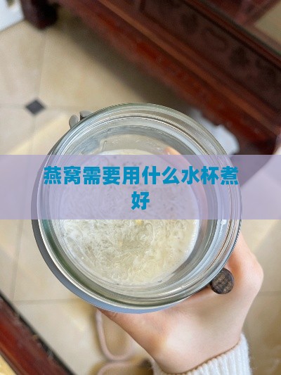 燕窝需要用什么水杯煮好