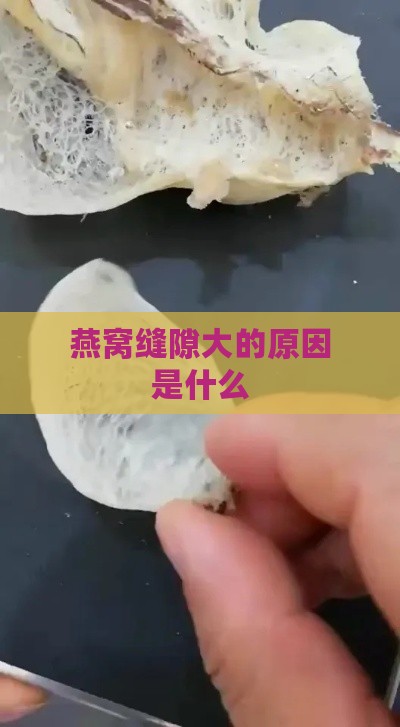 燕窝缝隙大的原因是什么