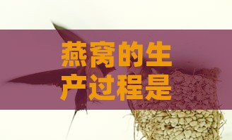 燕窝的生产过程是否伤害燕子及使用药物情况探讨