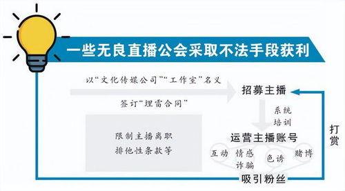 探秘燕窝：从采摘到精炼的完整生产与制作流程