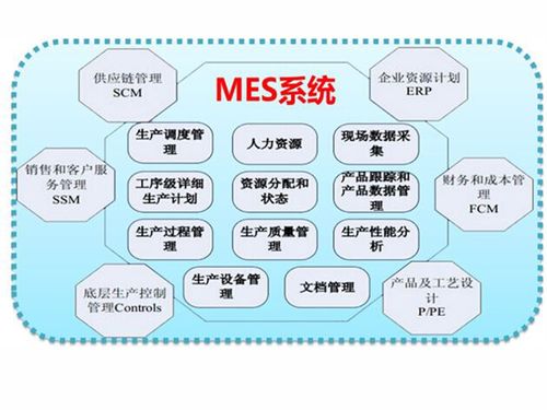 探秘燕窝：从采摘到精炼的完整生产与制作流程