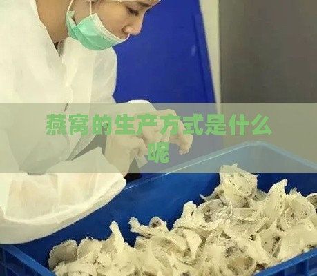 燕窝的生产方式是什么呢