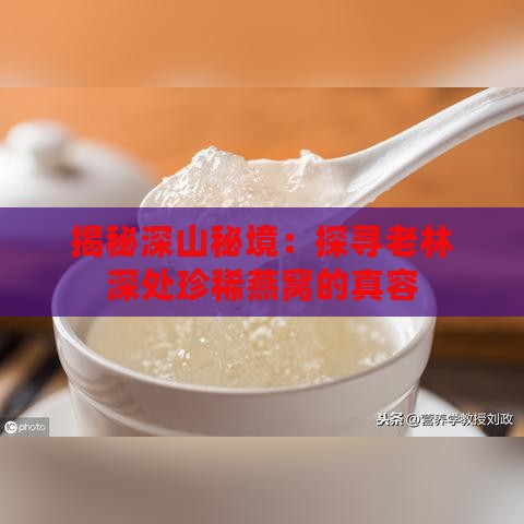 揭秘深山秘境：探寻老林深处珍稀燕窝的真容