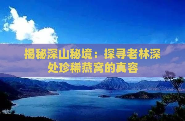 揭秘深山秘境：探寻老林深处珍稀燕窝的真容