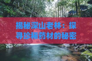 揭秘深山老林：探寻珍稀药材的秘密宝库