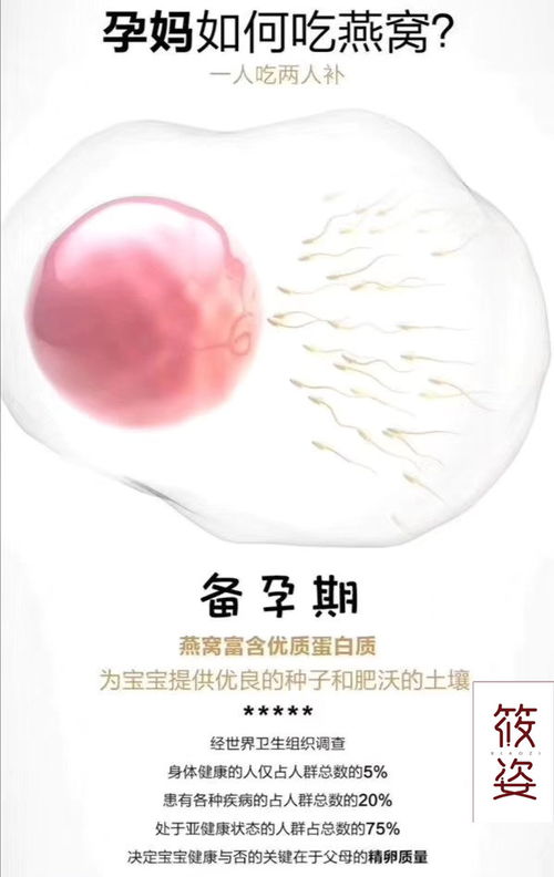 孕期食用燕窝的必要性：探究其对孕妇的益处与好处