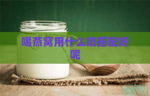 喝燕窝用什么奶搭配好呢