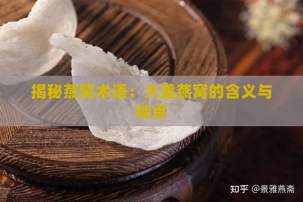 揭秘燕窝术语：大盏燕窝的含义与特点