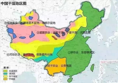 揭秘全球燕窝主要产地与分布情况