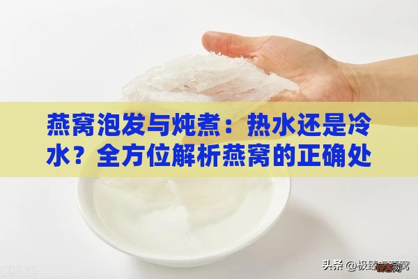 燕窝泡发与炖煮：热水还是冷水？全方位解析燕窝的正确处理方法