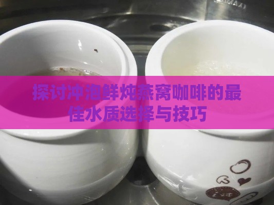 探讨冲泡鲜炖燕窝咖啡的更佳水质选择与技巧