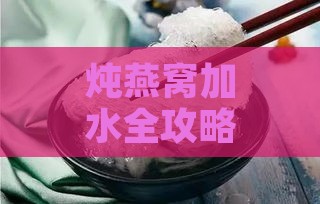 炖燕窝加水全攻略：水量、温度、时间及注意事项详解