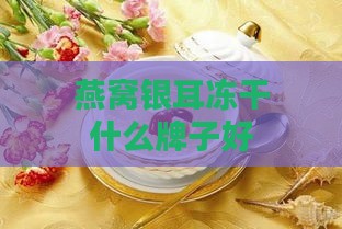 燕窝银耳冻干什么牌子好