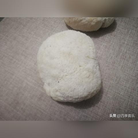 揭秘后燕窝长个猴子之谜：燕窝真假辨别与营养价值解析