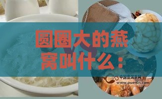 圆圈大的燕窝叫什么：如何选择好？