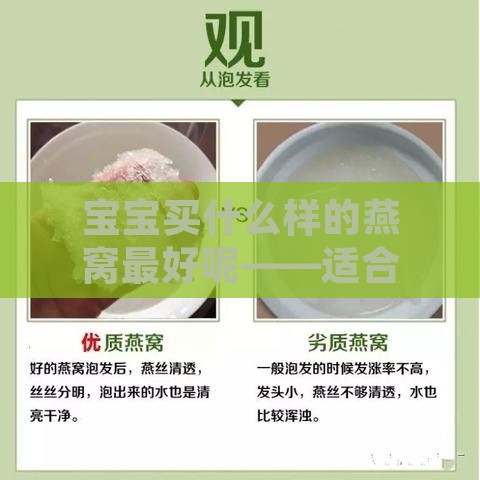 宝宝买什么样的燕窝更好呢——适合宝宝食用的燕窝推荐与挑选指南