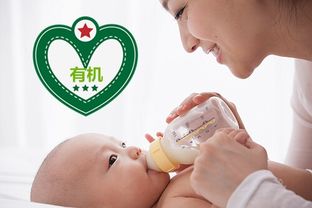 婴幼儿专属：挑选最适合宝宝口感的营养燕窝指南