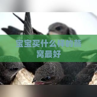 宝宝买什么样的燕窝更好