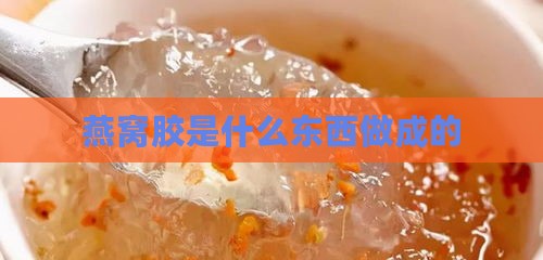 燕窝胶是什么东西做成的