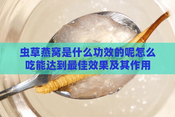 虫草燕窝是什么功效的呢怎么吃能达到更佳效果及其作用