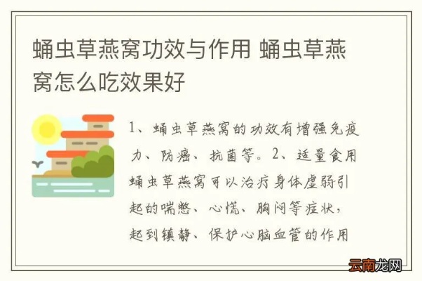 虫草燕窝是什么功效的呢怎么吃能达到更佳效果及其作用