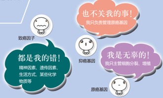 糖尿病患者在燕窝中添加哪些食材更健康：全面指南与搭配建议