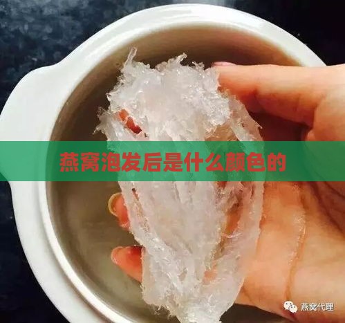 燕窝泡发后是什么颜色的