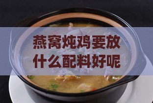 燕窝炖鸡要放什么配料好呢：炖制窍门与必备食材精选指南