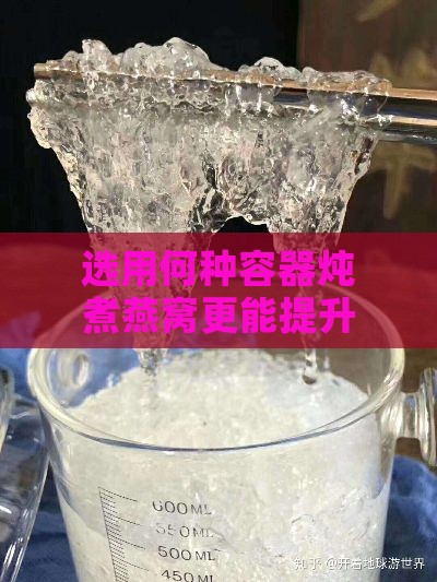 选用何种容器炖煮燕窝更能提升口感与营养吸收