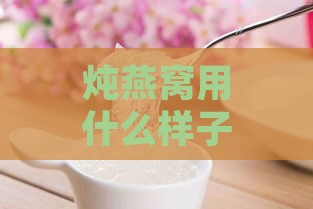 炖燕窝用什么样子的白糖