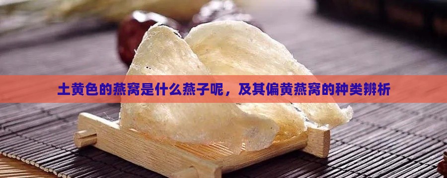 土黄色的燕窝是什么燕子呢，及其偏黄燕窝的种类辨析