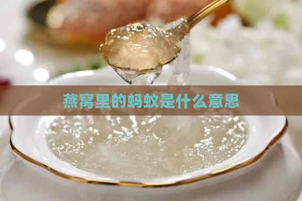 燕窝里的蚂蚁是什么意思