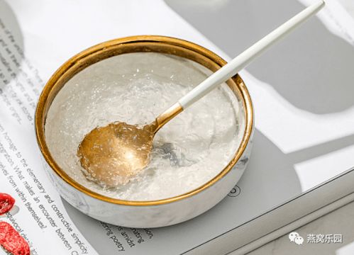 燕窝进口指南：全面解析燕窝食用方法与营养搭配