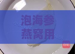 泡海参燕窝用什么纯净水