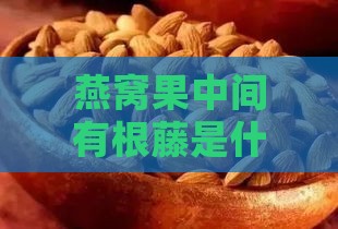 燕窝果中间有根藤是什么品种及红色物质是什么？