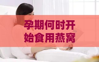 孕期何时开始食用燕窝：探寻更佳食用时机以提高孕妇及胎儿健康