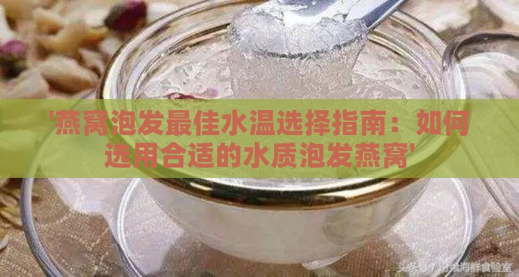 '燕窝泡发更佳水温选择指南：如何选用合适的水质泡发燕窝'