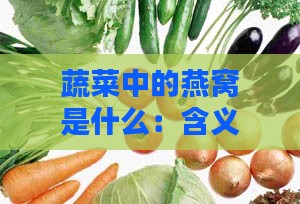 蔬菜中的燕窝是什么：含义、成分及燕窝菜介绍