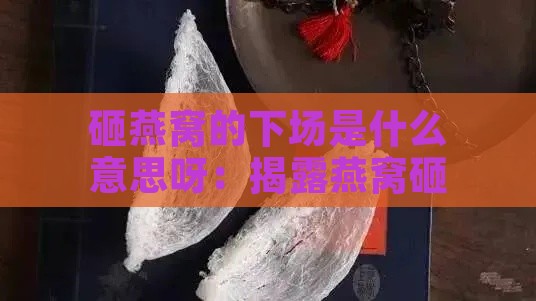 砸燕窝的下场是什么意思呀：揭露燕窝砸毁真相及其中蕴含的深层含义