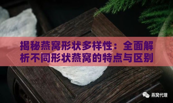 揭秘燕窝形状多样性：全面解析不同形状燕窝的特点与区别