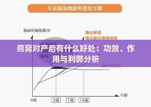 燕窝对产后有什么好处：功效、作用与利弊分析