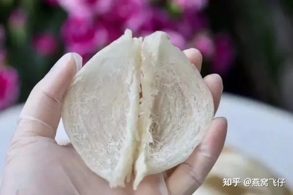 白色的燕窝是什么样子的，又称什么，如何烹饪才美味？