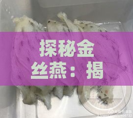 探秘金丝燕：揭秘燕窝制作背后的神秘使者