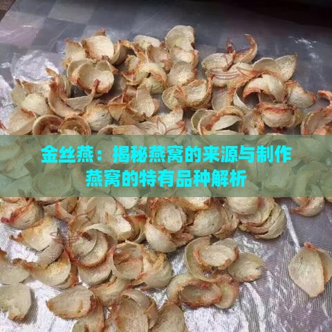 金丝燕：揭秘燕窝的来源与制作燕窝的特有品种解析