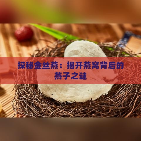 探秘金丝燕：揭开燕窝背后的燕子之谜